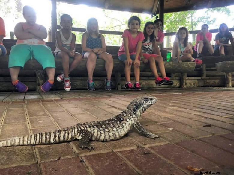 Explore Chehaw Park: Tranquil Outdoor Oasis