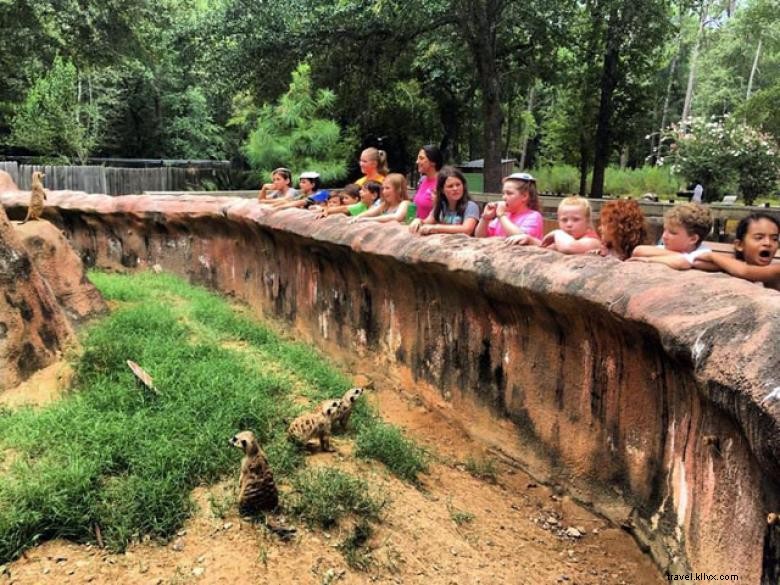 Explore Chehaw Park: Tranquil Outdoor Oasis