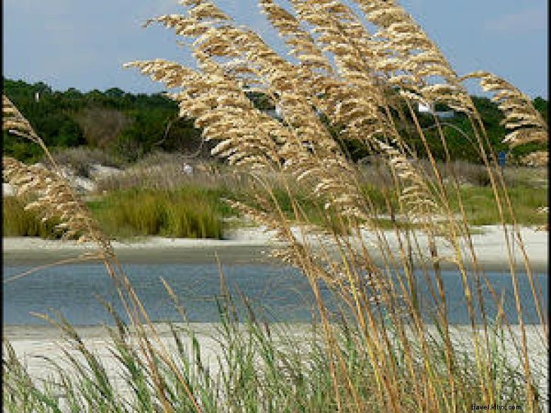 St. Simons Island Fishing Charters – Guaranteed Inshore & Offshore Catches