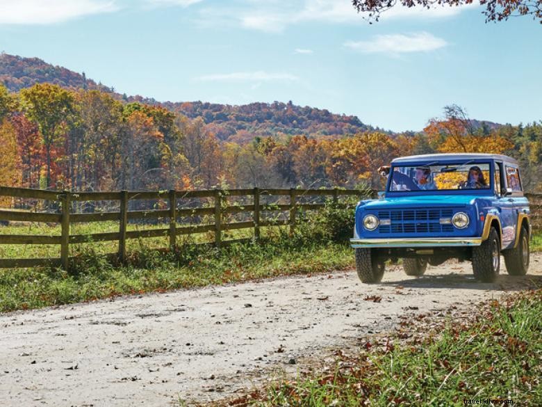 Explore Scenic Backroads with Our Premium Driving Tours