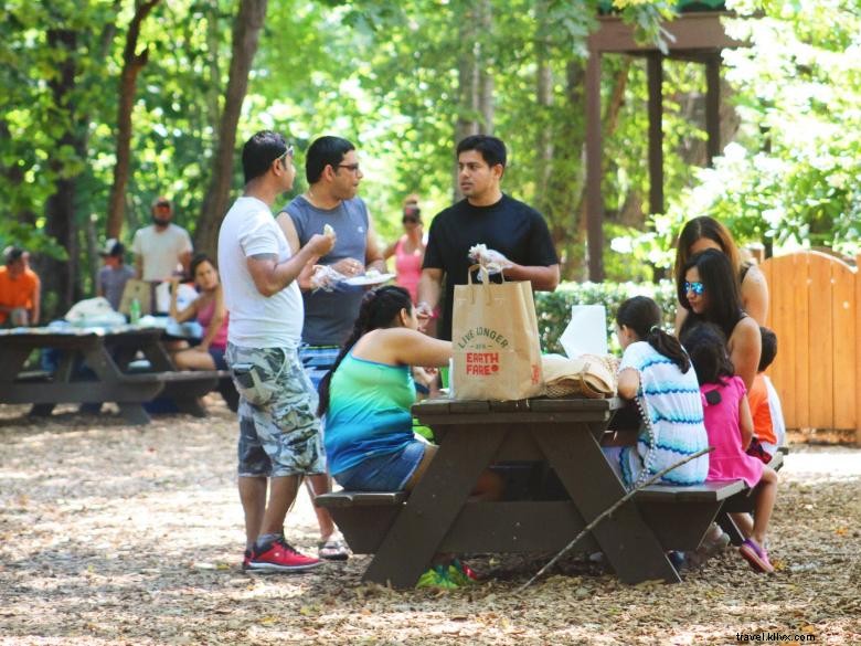 Cool River Tubing: Experience Thrilling Water Adventures