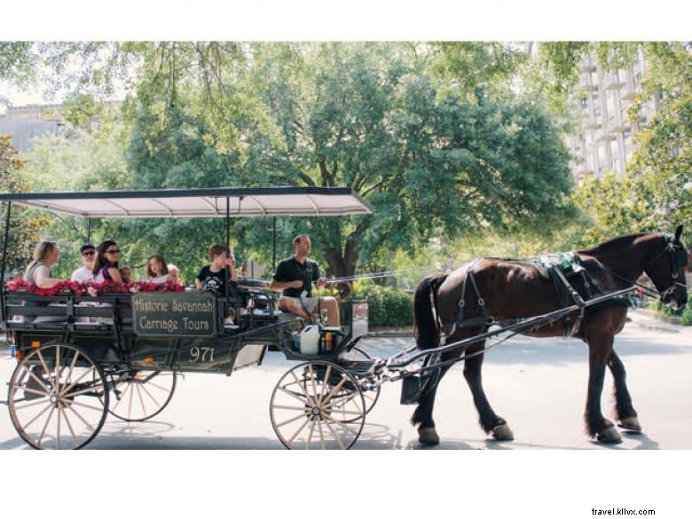 Explore Historic Savannah: Guided Carriage Tours Through Timeless Streets