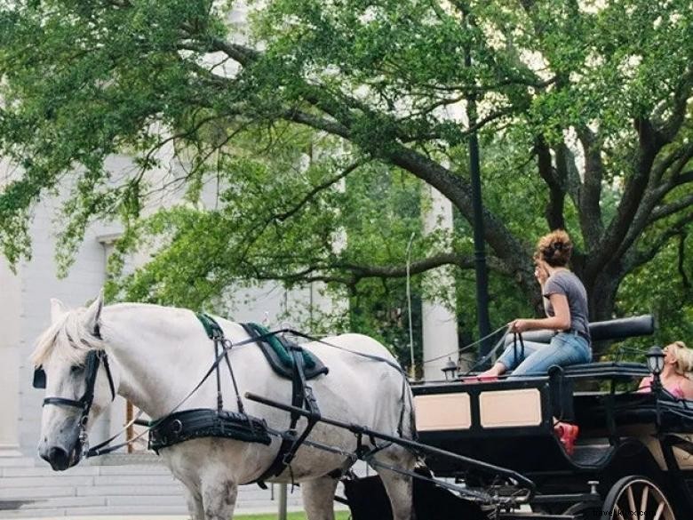Explore Historic Savannah: Guided Carriage Tours Through Timeless Streets