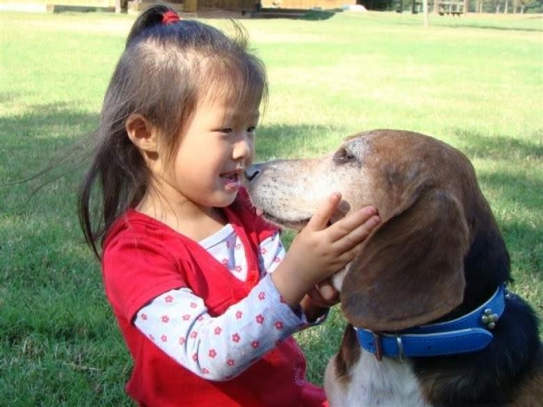 Noah s Ark Animal Sanctuary: Compassionate Care for All Creatures