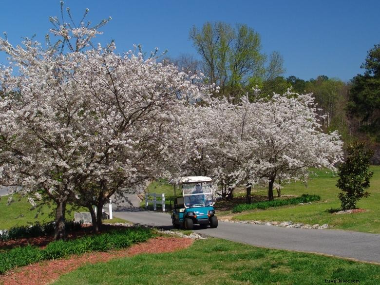 Explore Peachtree City: Scenic Golf Cart Routes & Neighborhood Trails