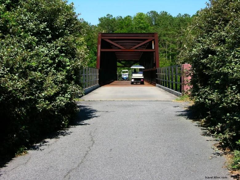 Explore Peachtree City: Scenic Golf Cart Routes & Neighborhood Trails