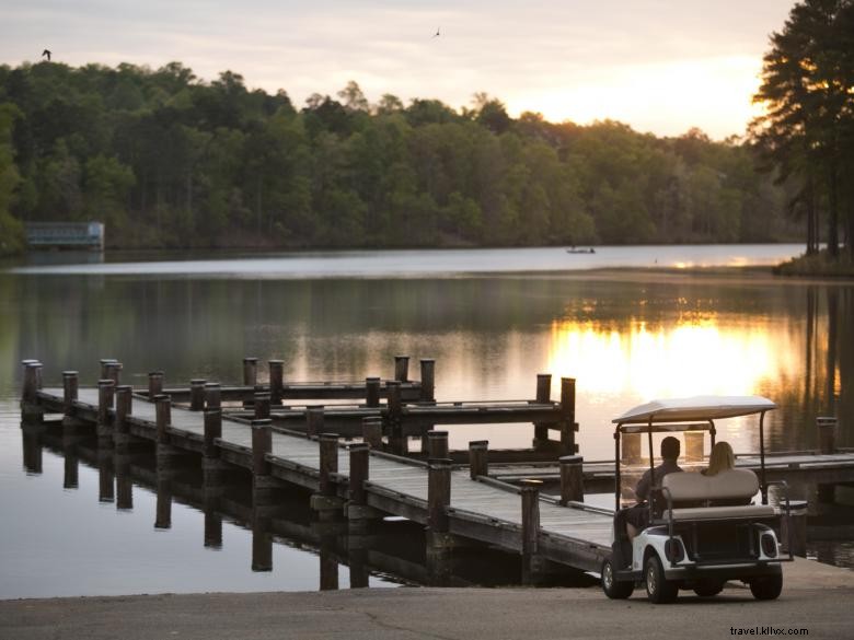 Explore Peachtree City: Scenic Golf Cart Routes & Neighborhood Trails