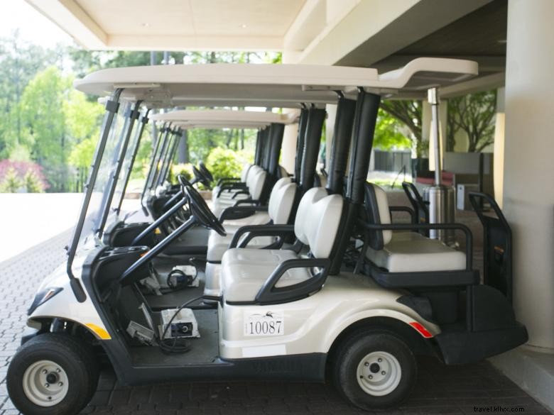 Explore Peachtree City: Scenic Golf Cart Routes & Neighborhood Trails