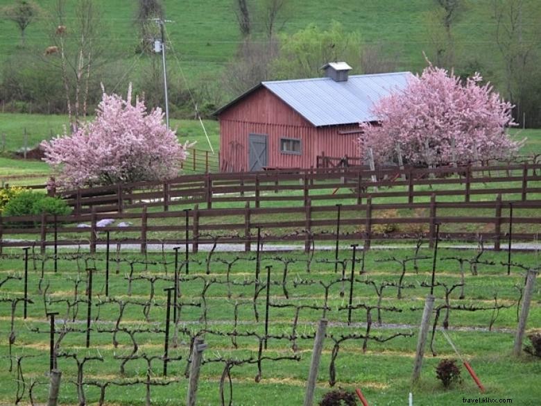 Stonewall Creek Vineyards: Award-Winning Wines & Chef‑Crafted Dining