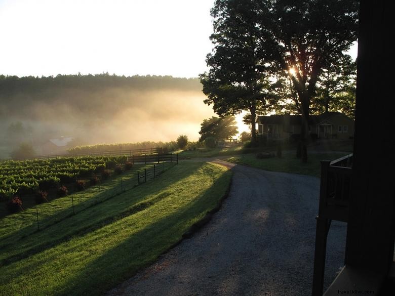 Stonewall Creek Vineyards: Award-Winning Wines & Chef‑Crafted Dining