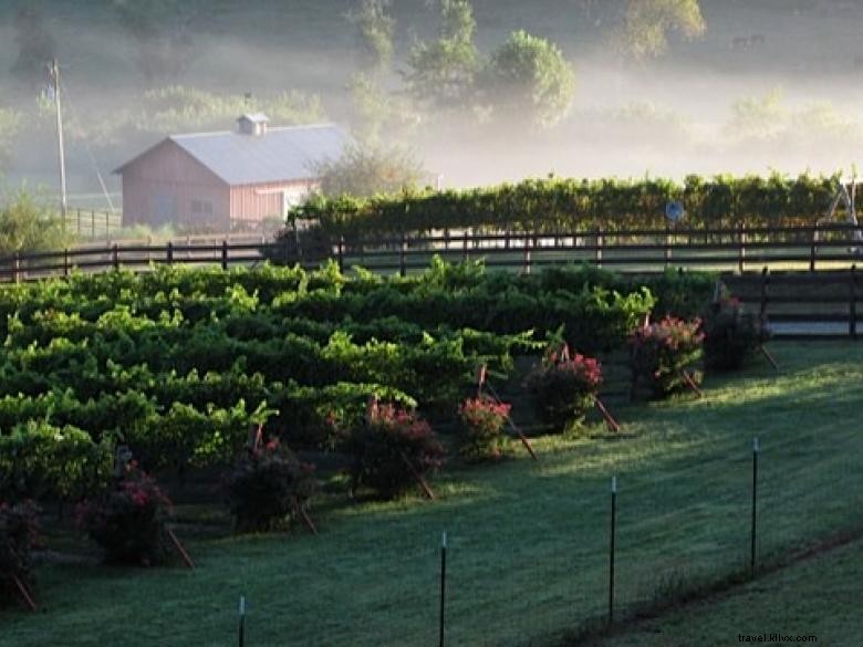 Stonewall Creek Vineyards: Award-Winning Wines & Chef‑Crafted Dining
