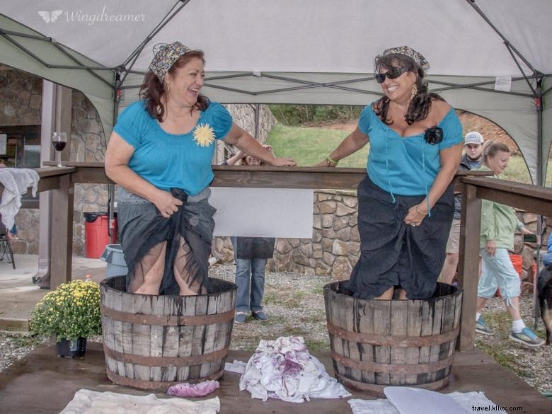 Stonewall Creek Vineyards: Award-Winning Wines & Chef‑Crafted Dining