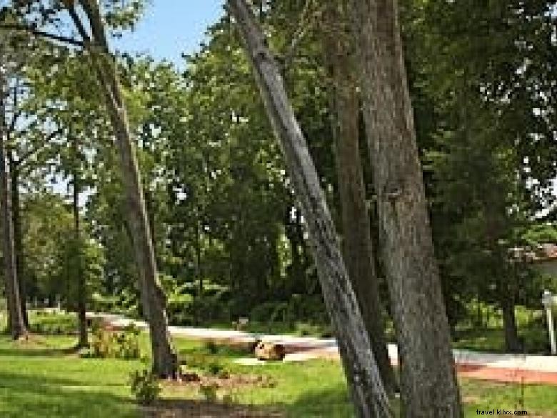 Explore the Blind Willie McTell Trail – A Scenic Path Through Statesboro