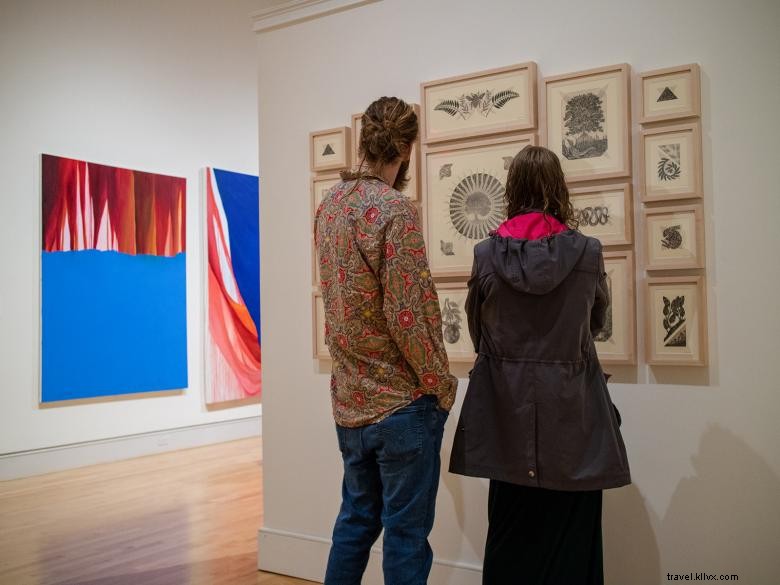 Georgia Museum of Art: Explore Atlanta’s Premier Cultural Hub