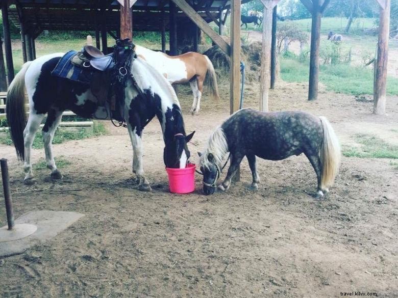 Explore the Mysteries of Hells Hollow Adventure Outpost