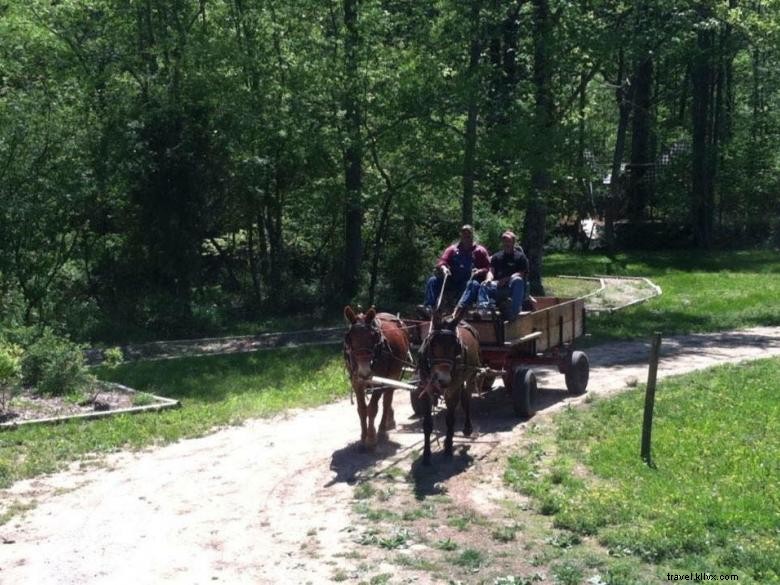 Explore the Mysteries of Hells Hollow Adventure Outpost
