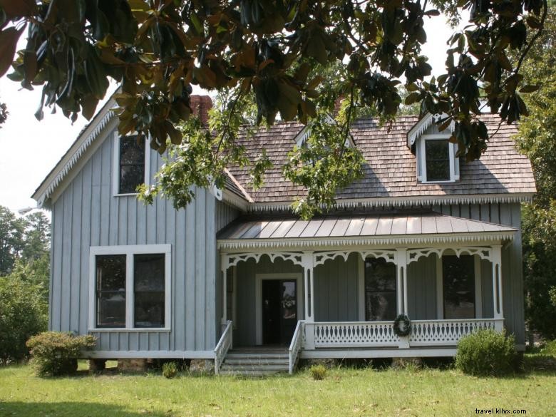 Explore Historic Downtown Dublin on an Engaging Walking Tour