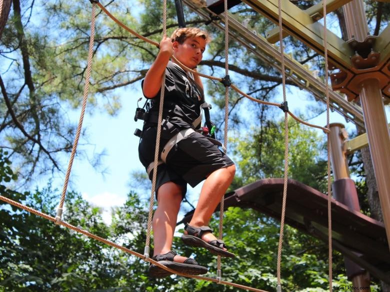 Discover Zoo Atlanta: The Premier Destination for Giant Pandas