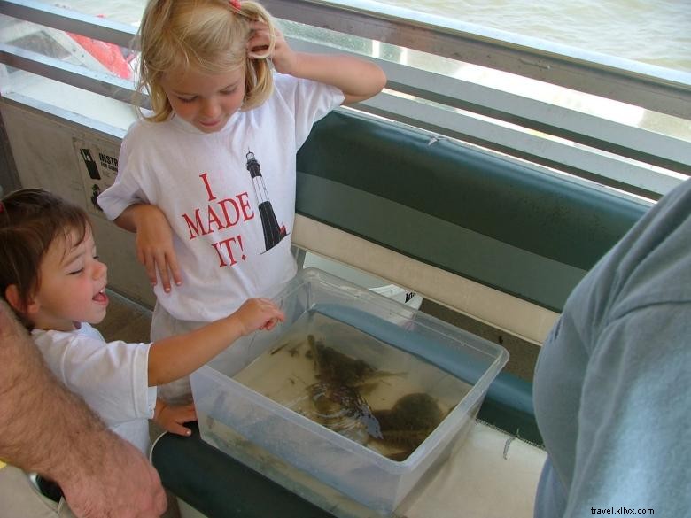 Bull River Cruises: Sustainable Eco Tours Along Georgia’s Coast