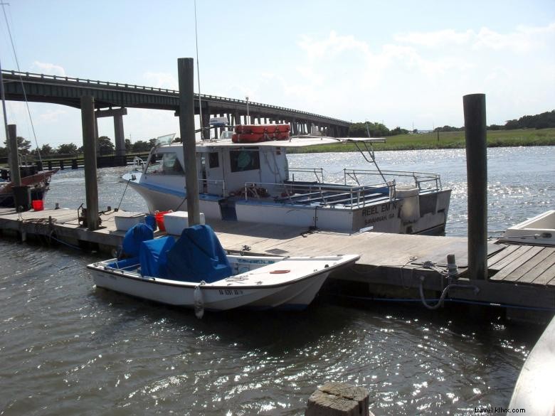 Captain Derek’s Dolphin Adventure: A Marine Exploration