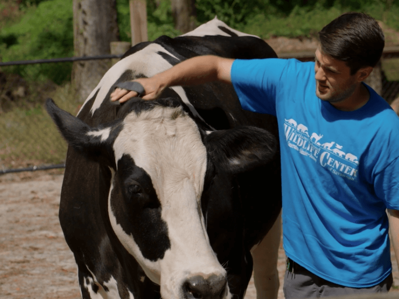 Oatland Island Wildlife Center: Savannah s Premier Rescue & Rehabilitation Hub