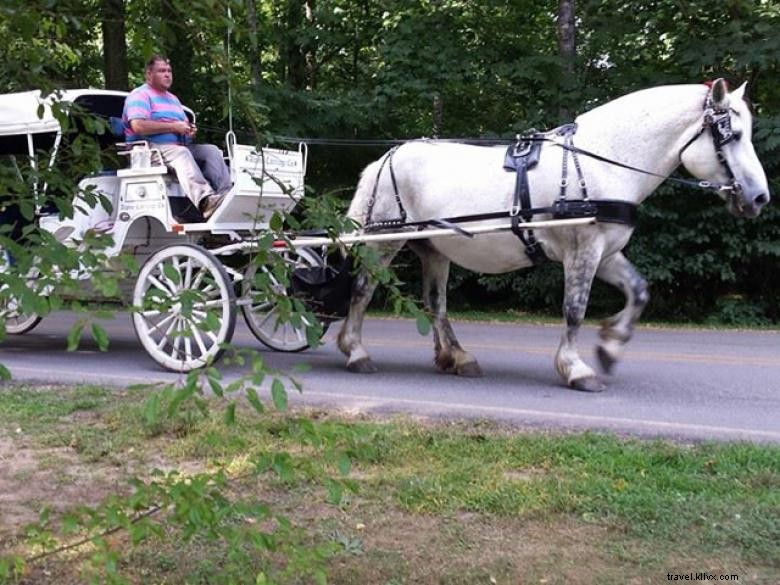 Alpine Carriage Company – Premium Mountain Transportation Services