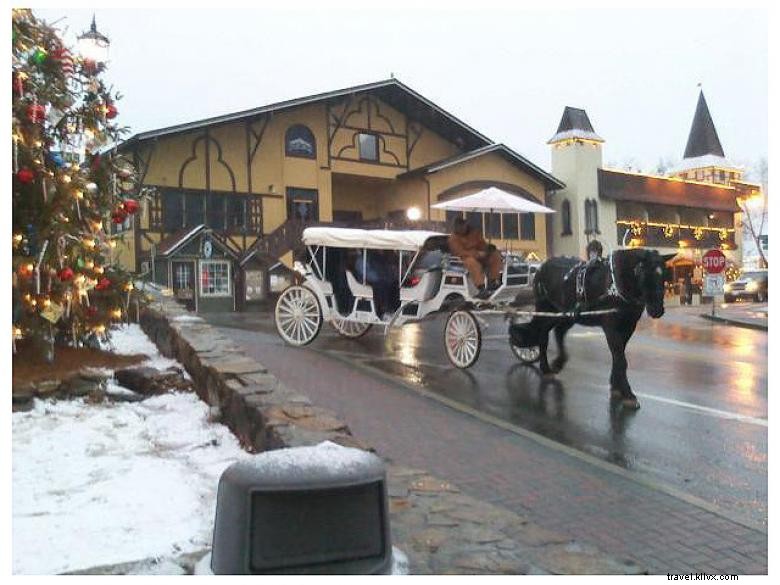 Alpine Carriage Company – Premium Mountain Transportation Services