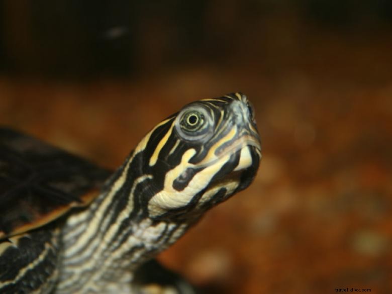 Rome-Floyd E.C.O. Center: Leading Sustainable Solutions in Rome