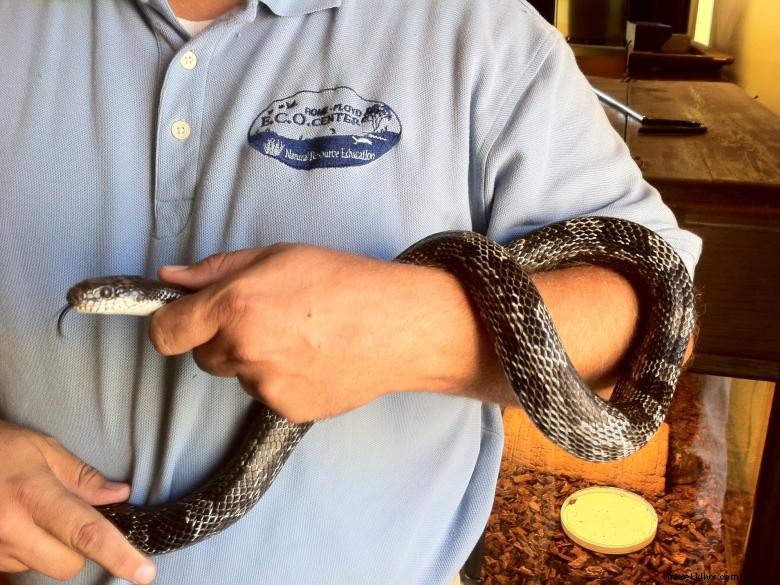 Rome-Floyd E.C.O. Center: Leading Sustainable Solutions in Rome