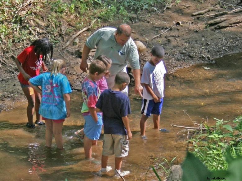 Rome-Floyd E.C.O. Center: Leading Sustainable Solutions in Rome