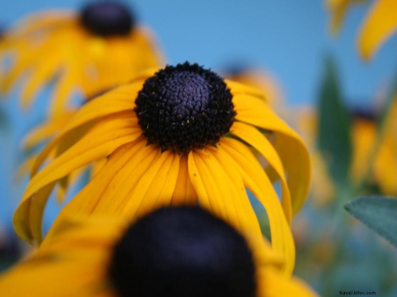 Rome-Floyd E.C.O. Center: Leading Sustainable Solutions in Rome