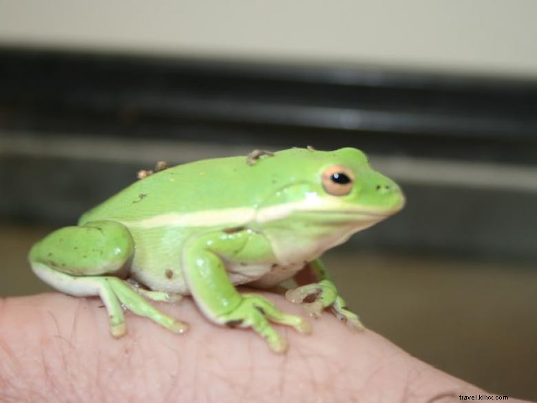 Rome-Floyd E.C.O. Center: Leading Sustainable Solutions in Rome