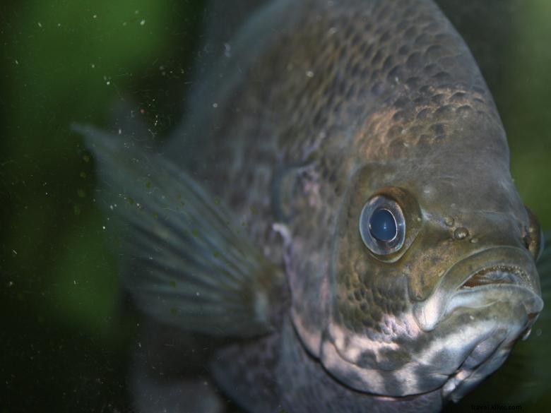 Rome-Floyd E.C.O. Center: Leading Sustainable Solutions in Rome