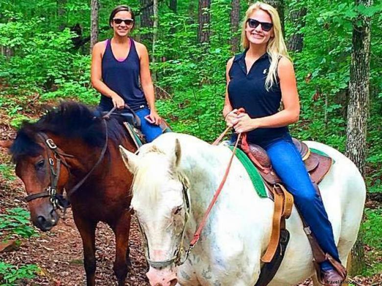 Butts Mill Farm – A Serene Rural Retreat