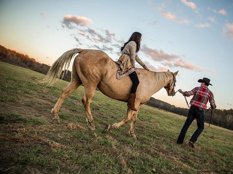 Chattahoochee Stables: Premier Horse Boarding & Training Facility
