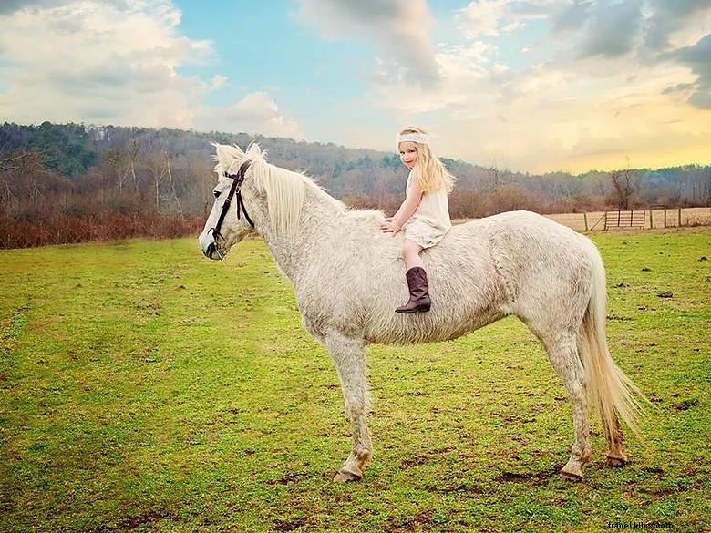 Chattahoochee Stables: Premier Horse Boarding & Training Facility