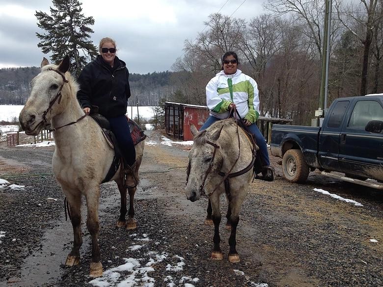 Chattahoochee Stables: Premier Horse Boarding & Training Facility