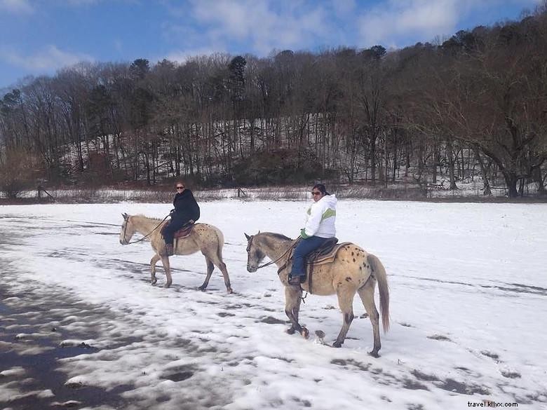 Chattahoochee Stables: Premier Horse Boarding & Training Facility