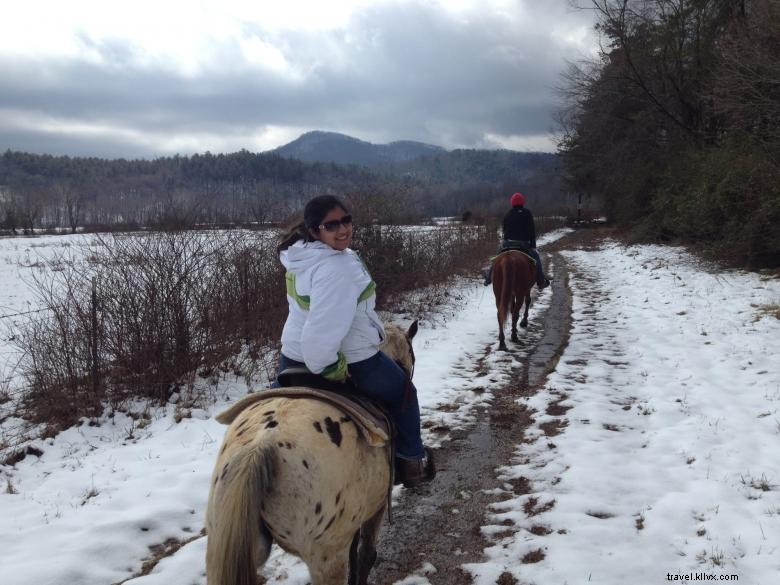 Chattahoochee Stables: Premier Horse Boarding & Training Facility