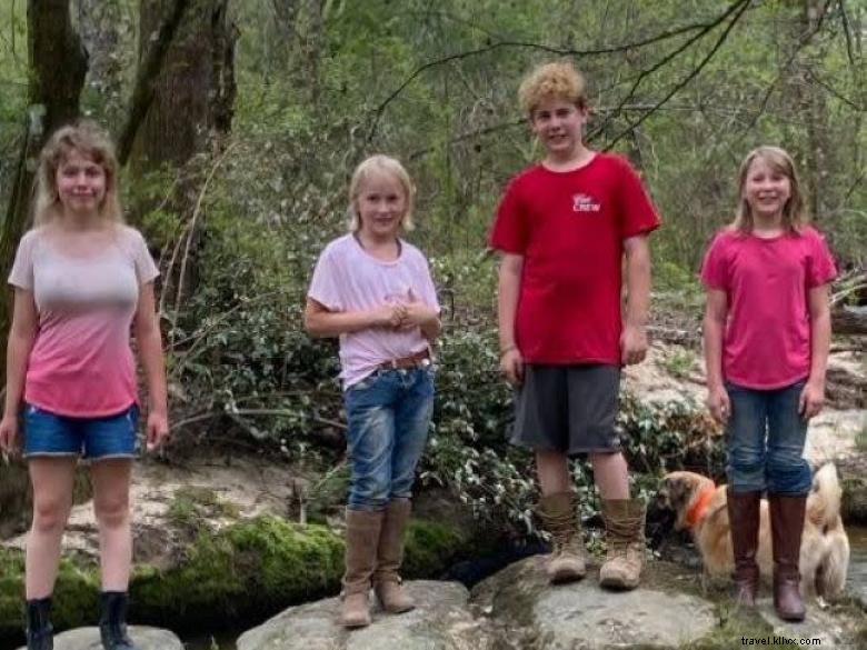 Explore Shiloh Acres Farm & Shop: A Family-Friendly Farm Experience