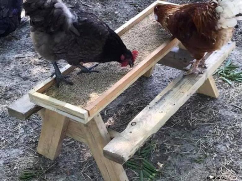 Explore Shiloh Acres Farm & Shop: A Family-Friendly Farm Experience