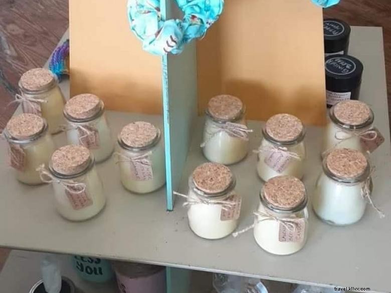 Explore Shiloh Acres Farm & Shop: A Family-Friendly Farm Experience