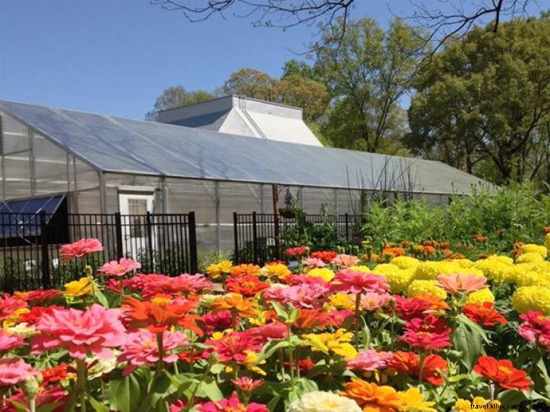 Explore the Wonders at Fernbank Science Center