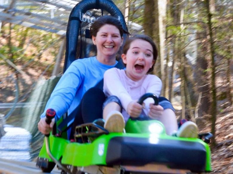 Georgia Mountain Coaster – The First Alpine Coaster Experience in Helen, GA