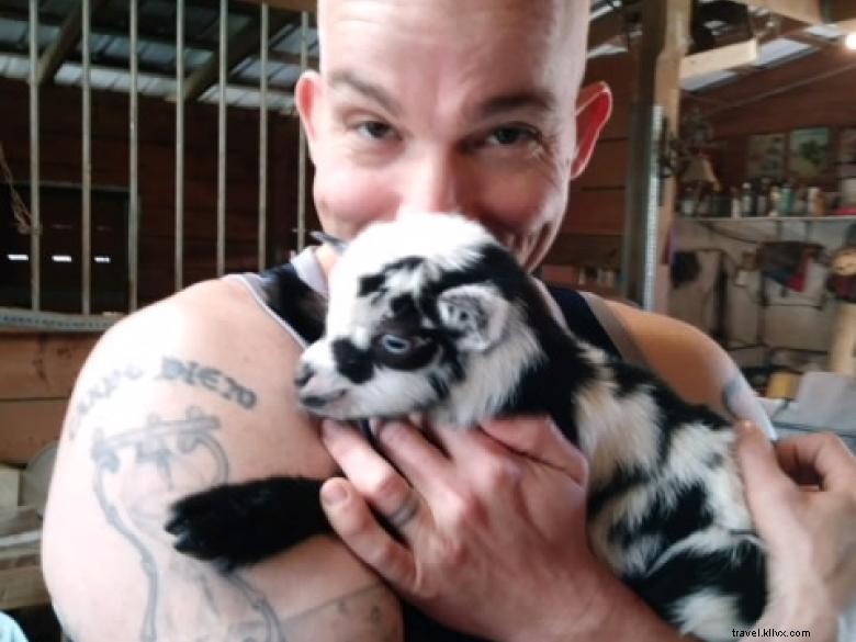 Goat Yoga in Georgia – A Unique Wellness Experience