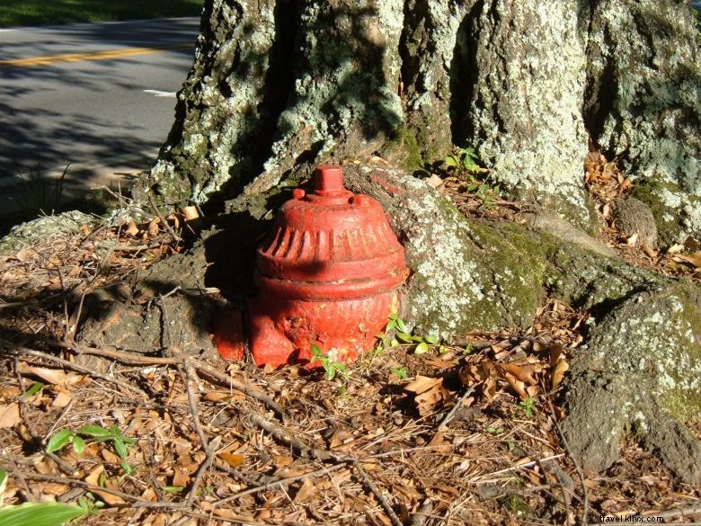 Explore Tallapoosa’s Historic Homes: Guided Driving & Walking Tour