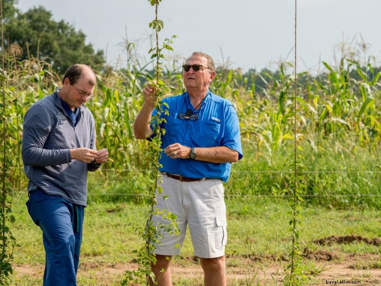 Pretoria Fields Collective: Farm-to-Glass Beers & Seasonal Brews