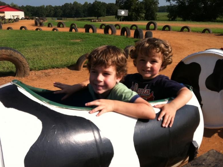 Explore Southern Belle Farm: Premium Organic Produce & Farm Experience