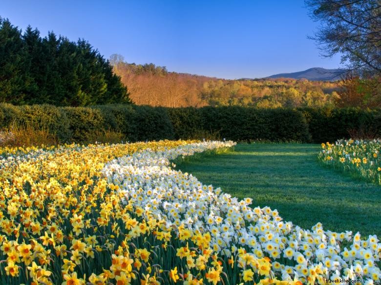 Explore the Scenic North Georgia Garden Trail