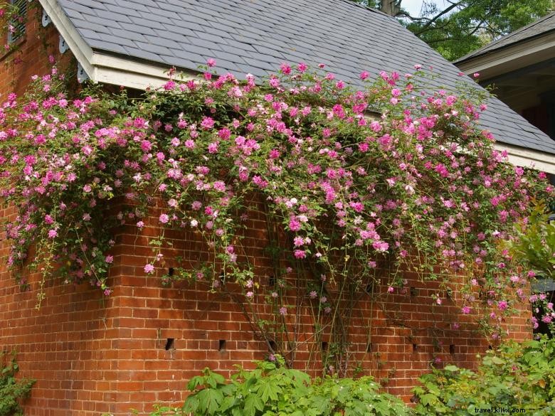 Explore the Scenic North Georgia Garden Trail